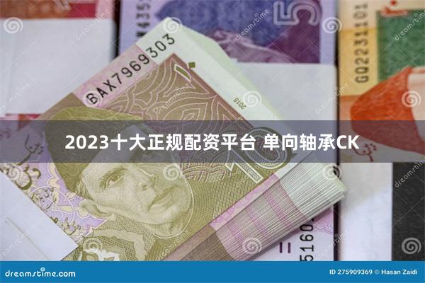 2023十大正规配资平台 单向轴承CK