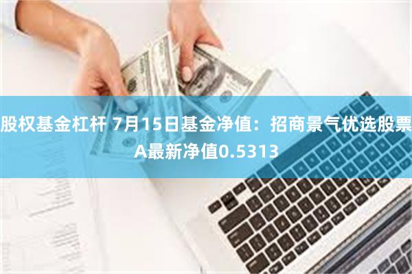 股权基金杠杆 7月15日基金净值：招商景气优选股票A最新净值0.5313